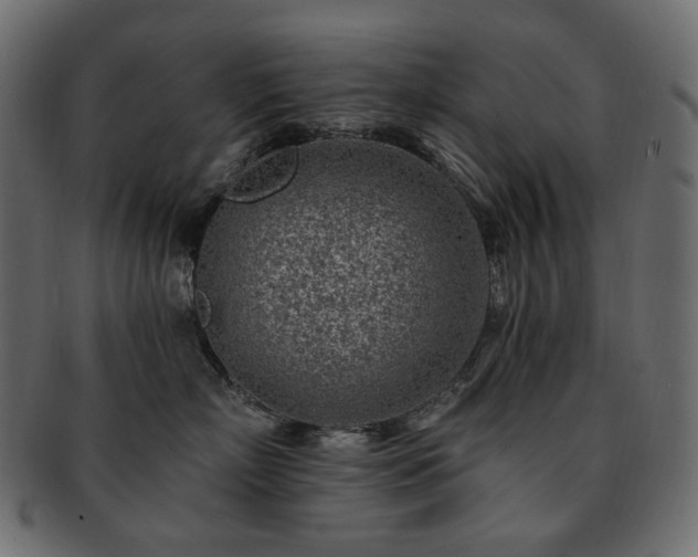 X0000093210718200710031420