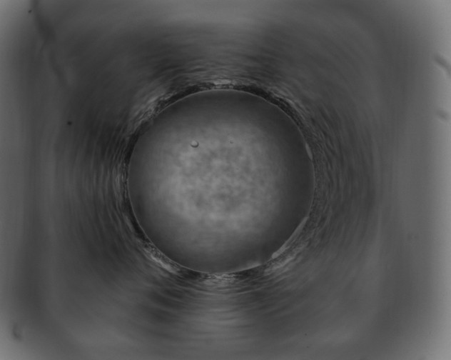 X0000093210720200710031420