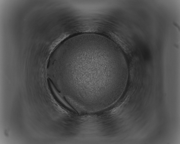 X0000093210721200710031420