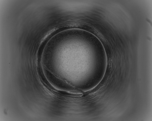 X0000093210722200710031420