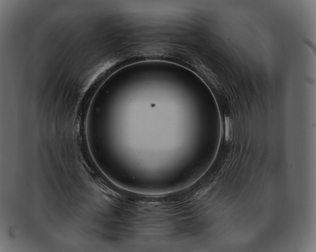 X0000093210723200710031420