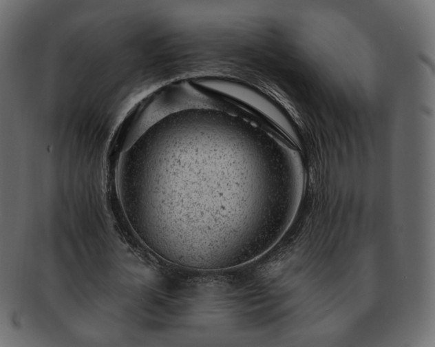 X0000093210724200710031420