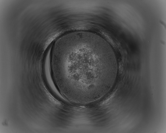 X0000093210725200710031420