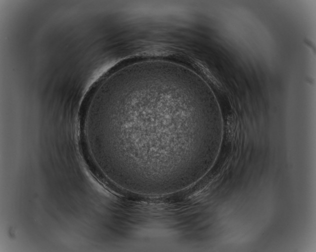 X0000093210726200710031420