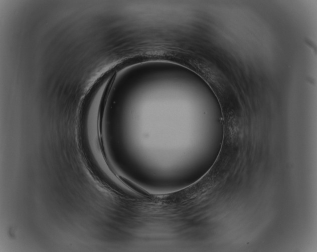 X0000093210728200710031420