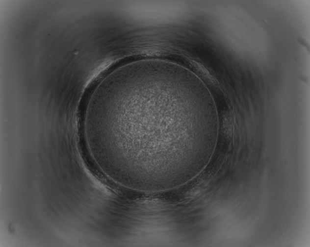 X0000093210730200710031420