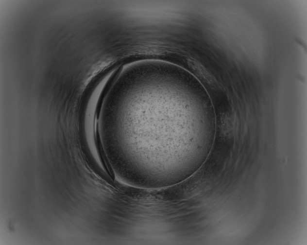 X0000093210731200710031420