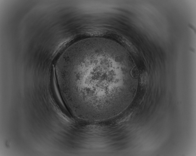 X0000093210733200710031420