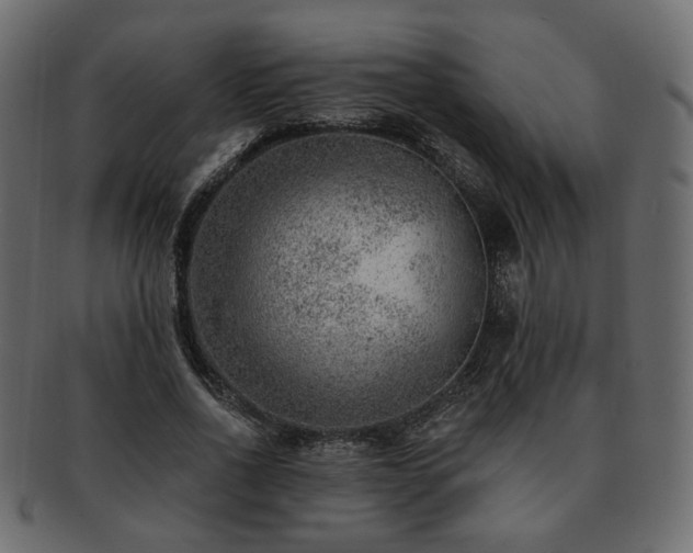 X0000093210734200710031420