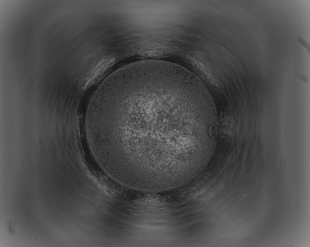 X0000093210738200710031420