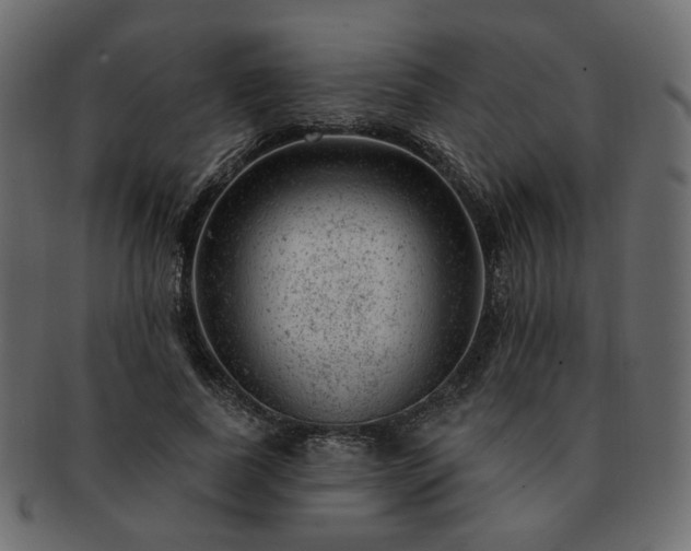 X0000093210739200710031420