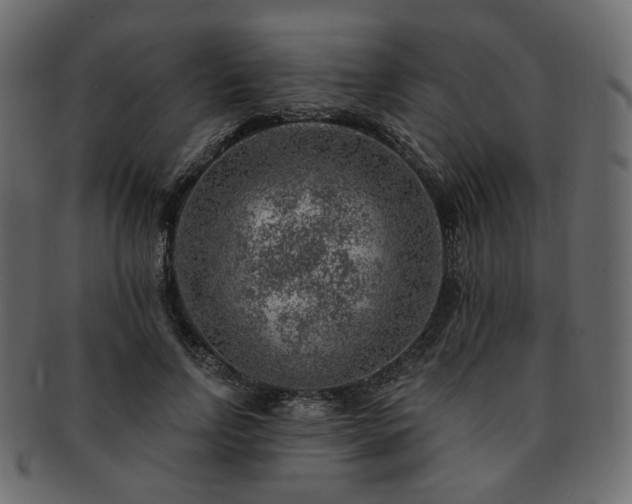 X0000093210742200710031420