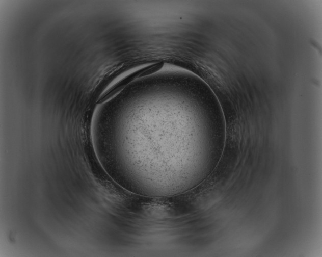 X0000093210743200710031420