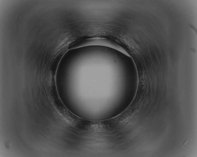 X0000093210744200710031420