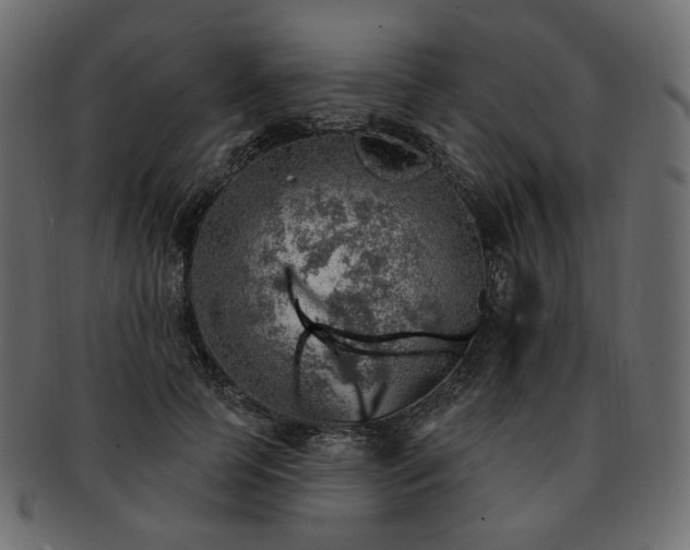 X0000093210745200710031420