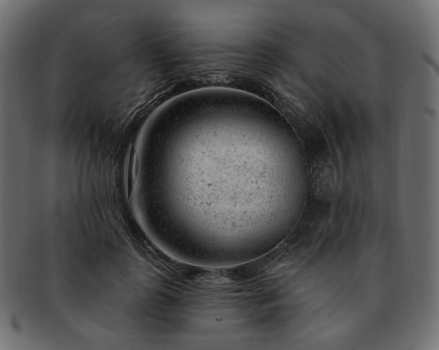 X0000093210747200710031420