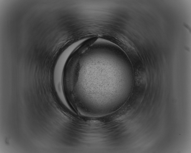 X0000093210748200710031420