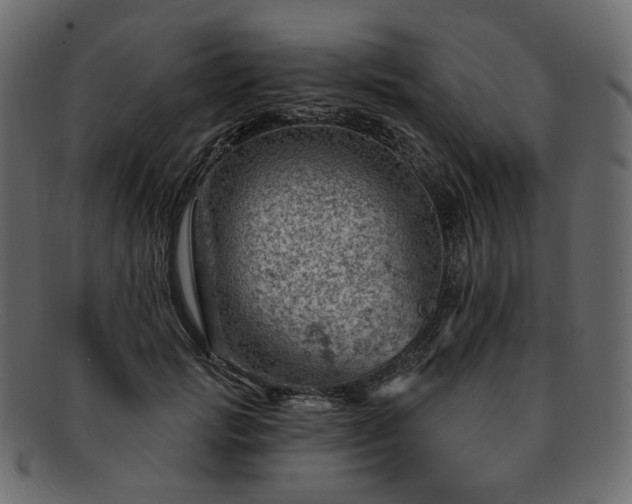 X0000093210749200710031420