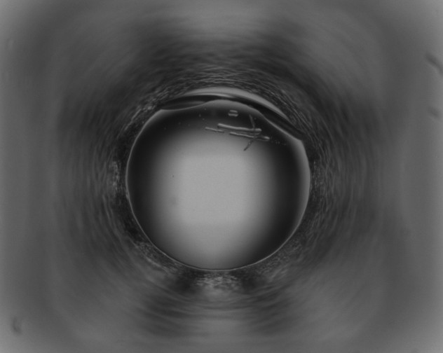 X0000093210752200710031420