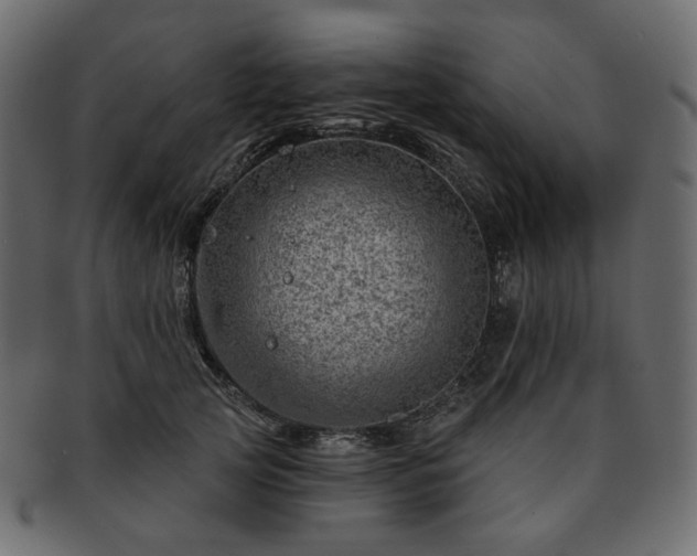 X0000093210753200710031420