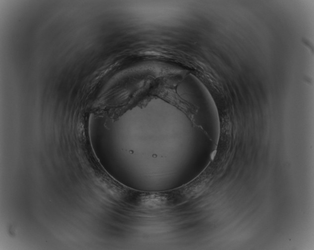 X0000093210754200710031420