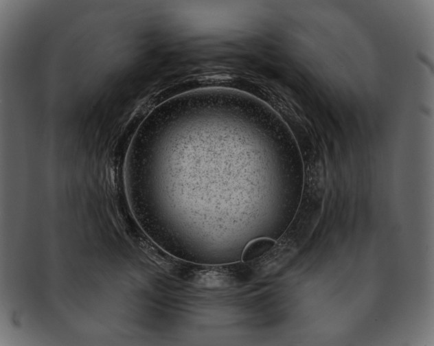 X0000093210755200710031420