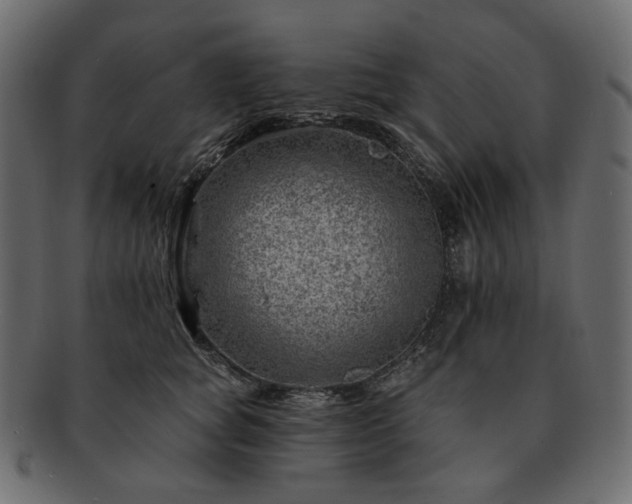 X0000093210757200710031420