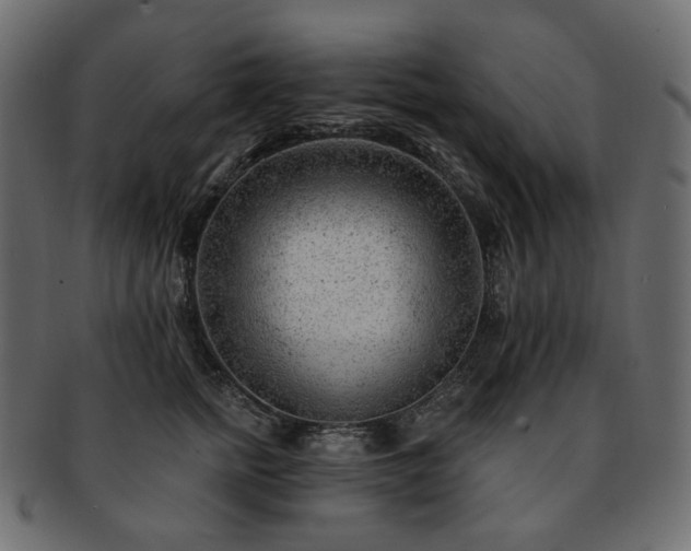 X0000093210758200710031420