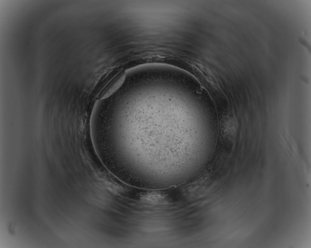 X0000093210759200710031420