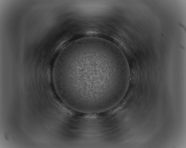 X0000093210762200710031420