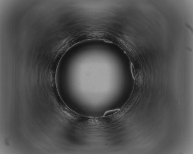 X0000093210764200710031420