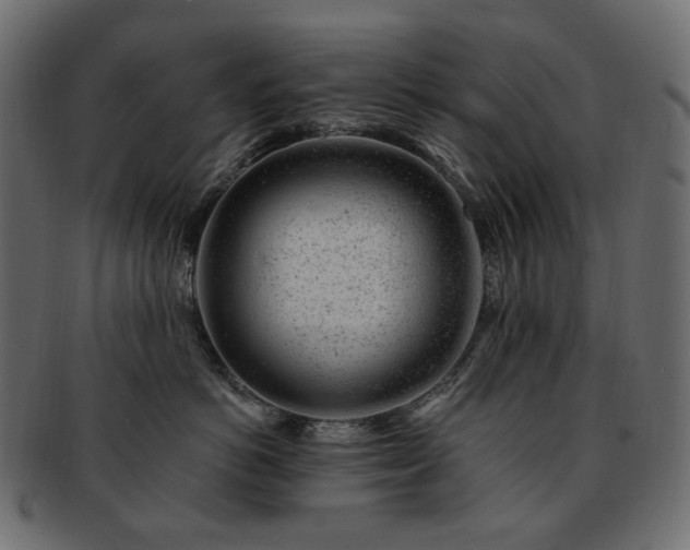 X0000093210766200710031420