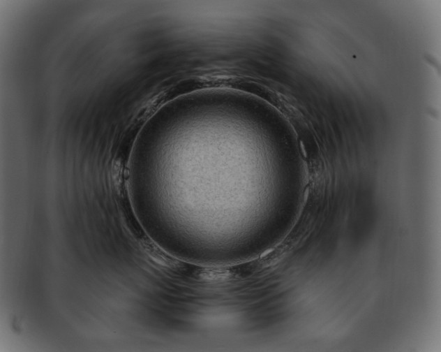 X0000093210767200710031420