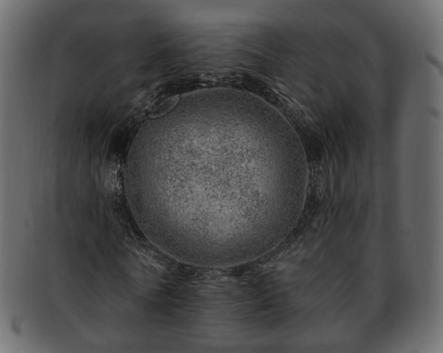 X0000093210770200710031420