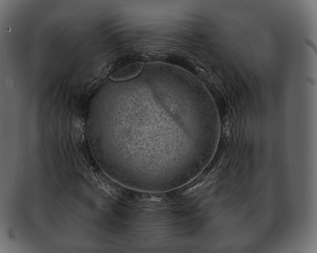 X0000093210772200710031420