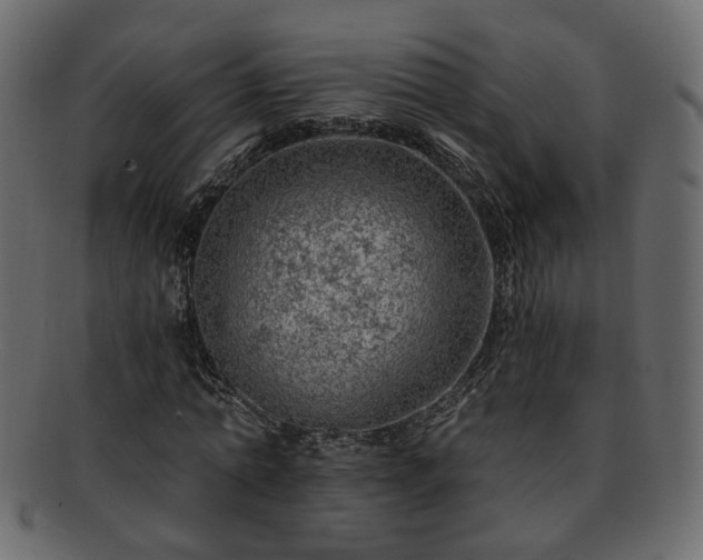 X0000093210774200710031419