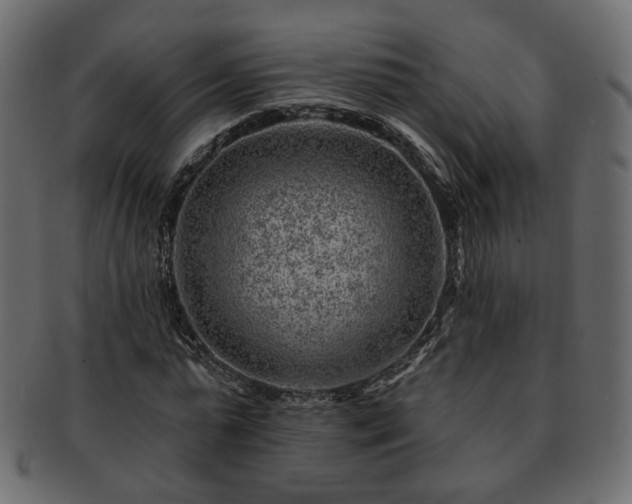 X0000093210775200710031419