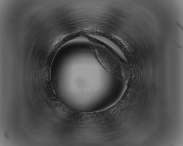 X0000093210776200710031419