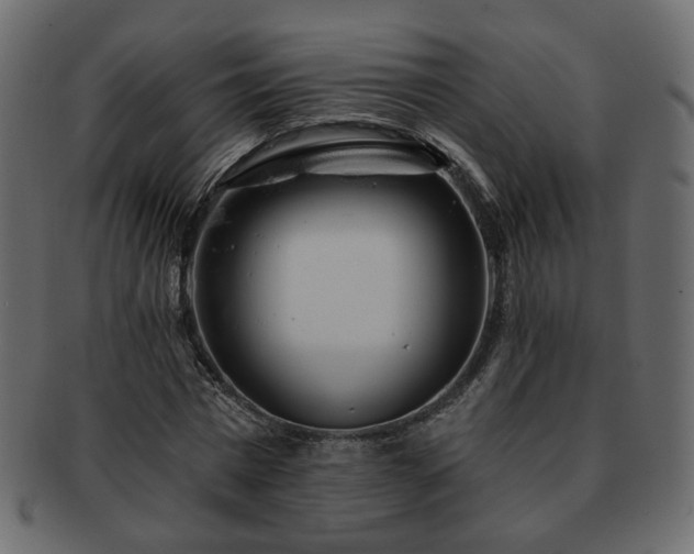 X0000093210777200710031419