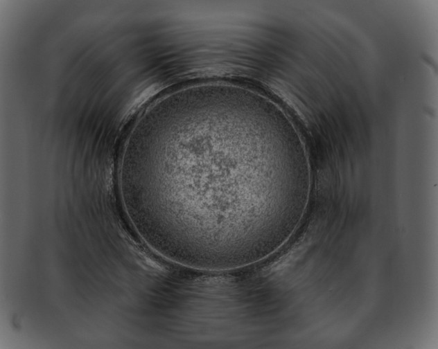 X0000093210778200710031419