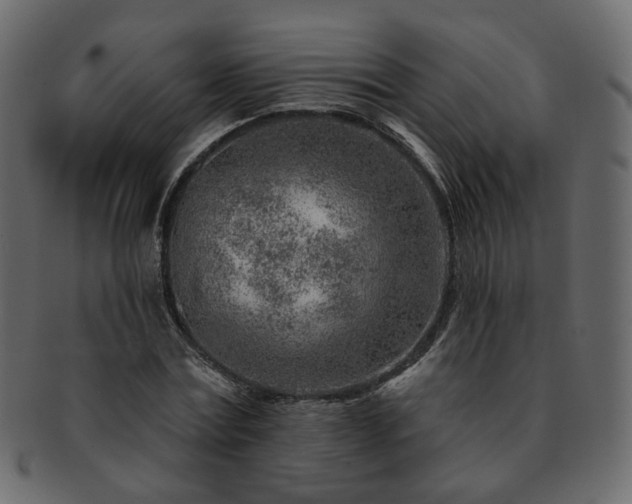 X0000093210779200710031419