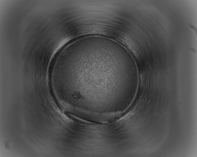 X0000093210780200710031419