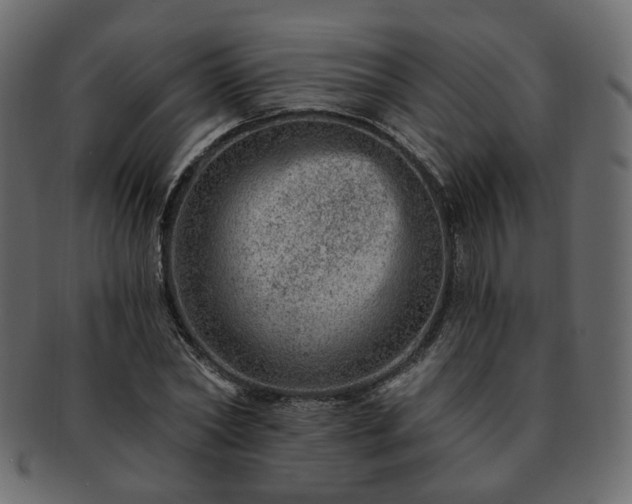 X0000093210782200710031419