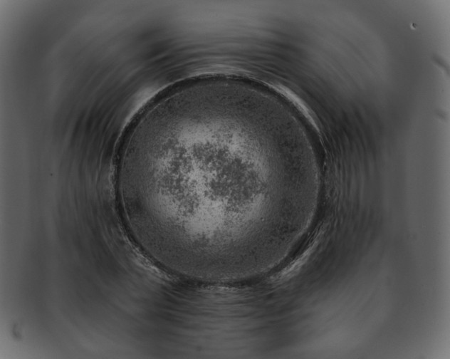 X0000093210783200710031419