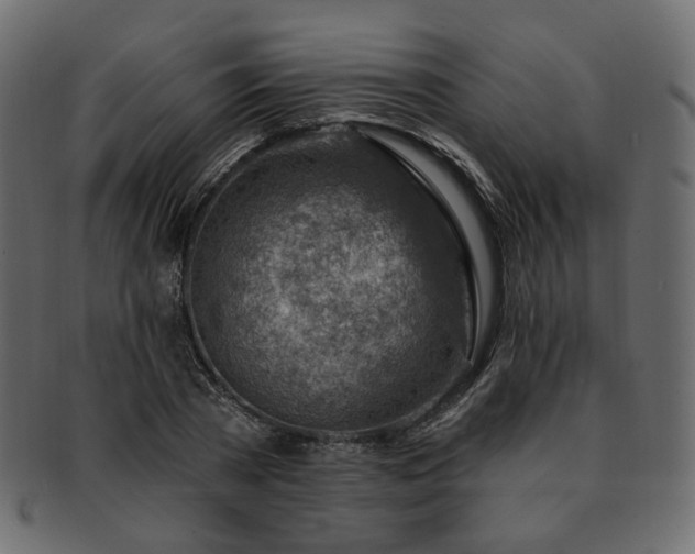 X0000093210785200710031419