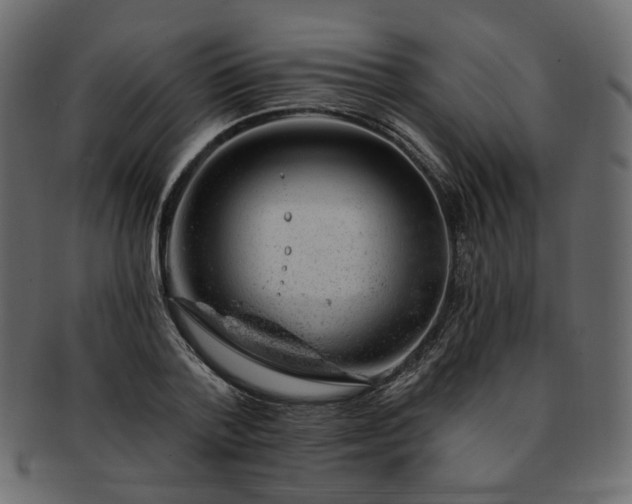 X0000093210788200710031419