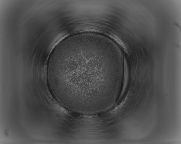 X0000093210790200710031419