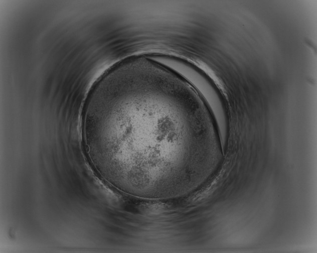 X0000093210791200710031419