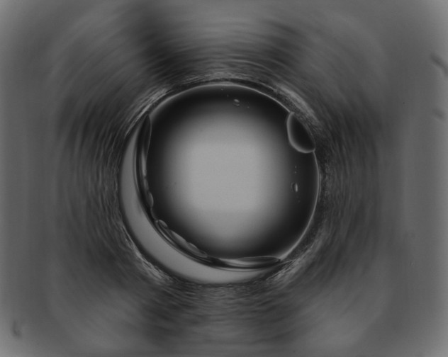 X0000093210793200710031419