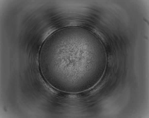 X0000093210794200710031419